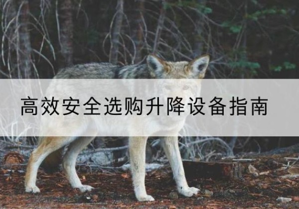 琼海升降货梯厂家推荐-*安全选购升降设备指南