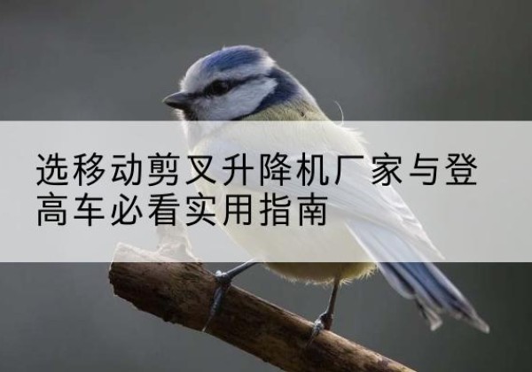 琼海电动升降机厂家-选移动剪叉升降机厂家与登高车必看实用指南