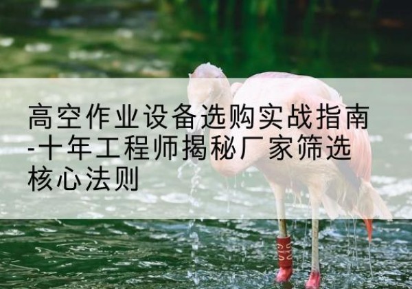 琼海剪叉式升降机厂家-高空作业设备选购实战指南-十年工程师揭秘厂家筛选核心法则